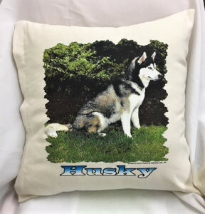 ݌ɌIVxAnXL[iNo.4j NbVJo[yJo[̂ gʔz 43x43cm 킢  Vv   Ck vg  G ObY vg  L