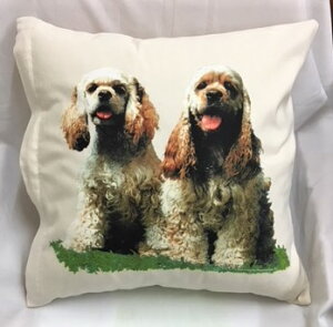 ݌ɌIAJRbJXpjGiNo.4j NbVJo[yJo[̂ gʔz 43x43cm 킢  Vv   Ck vg  G ObY vg