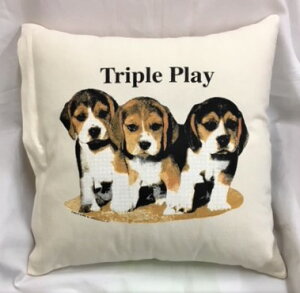 ݌ɌIr[OiNo.1j NbVJo[yJo[̂ gʔz 43x43cm 킢  Vv   Ck vg  G ObY vg  LOi It