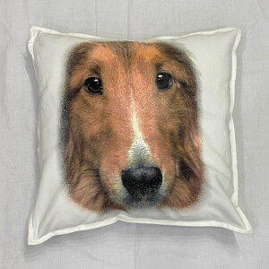 �y���������z�V�F�b�g�����h�V�[�v�h�b�O �V�F���e�B�[ �N�b�V���� NEW�y���g����/�z���C�g/�u���b�N�z 50x50cm �傫�� �r�b�O�T�C�Y �r�b�O�t�F�C�X �􂦂� ���킢�� ������� ���� ���� ���v