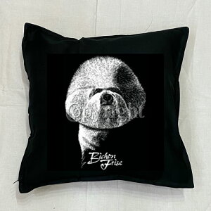 yzrVt[[ NbV NEWyg/ubNz 50x50cm 傫 rbOTCY 􂦂 킢    vg G ObY vg  I[i[O