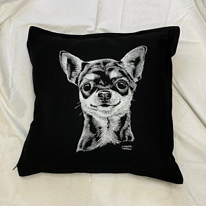 yz` NbV NEWyg/ubNz 50x50cm 傫 rbOTCY 􂦂 킢    vg G ObY vg  I[i[ObY zC