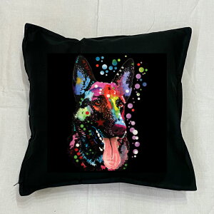 yzW[}VFp[h NbV NEWyg/zCg/ubNz 50x50cm 傫 rbOTCY rbOtFCX 􂦂 킢    vg G Ob