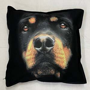 yzbgC[ NbV NEWyg/zCg/ubNz 50x50cm 傫 rbOTCY rbOtFCX 􂦂 킢    vg G ObY v