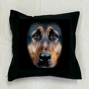 yzW[}VFp[h NbV NEWyg/zCg/ubNz 50x50cm 傫 rbOTCY rbOtFCX 􂦂 킢    vg G Ob