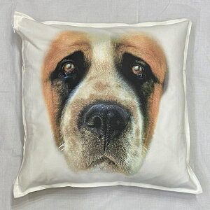 �y���������z�Z���g�o�[�i�[�h �N�b�V���� NEW�y���g����/�z���C�g/�u���b�N�z 50x50cm �傫�� �r�b�O�T�C�Y �r�b�O�t�F�C�X �􂦂� ���킢�� ������� ���� ���� ���v�����g �G�� ���O�b�Y ��