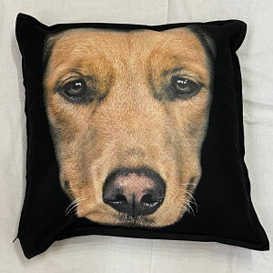 �y���������z�S�[���f�����g���o�[ �N�b�V���� NEW�y���g����/�z���C�g/�u���b�N�z 50x50cm �傫�� �r�b�O�T�C�Y �r�b�O�t�F�C�X �􂦂� ���킢�� ������� ���� ���� ���v�����g �G�� ���O�b