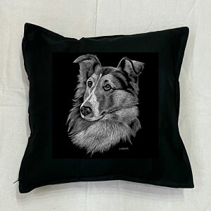 yzVFbghV[vhbO VFeB[ NbV NEWyg/ubNz 50x50cm 傫 rbOTCY 􂦂 킢    vg G ObY 