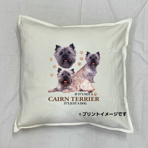 �y���������z�P�A�[���e���A �P�A���e���A �N�b�V���� NEW�y���g����/�z���C�g/�u���b�N�z 50x50cm �傫�� �r�b�O�T�C�Y �􂦂� ���킢�� ������� ���� ���� dog �h�b�O ���v�����g �G�� ���O�b