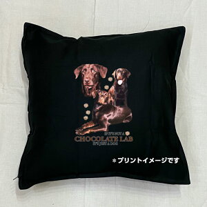 yzuh[go[ NbV NEWyg/zCg/ubNz 50x50cm 傫 rbOTCY 􂦂 킢    dog hbO vg G ObY 