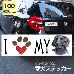 y݌ɌzXebJ[ C}i[  h OXebJ[ ACuyI LOVEV[Yz op[XebJ[ X[cP[XV[ V[ J[XebJ[  oCN hbO  