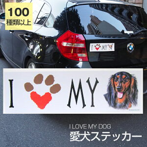 y݌ɌzXebJ[ _bNXtg _bNXth  h OXebJ[ yI LOVEV[Yz op[XebJ[ X[cP[XV[ V[ J[XebJ[  oCN hbO 