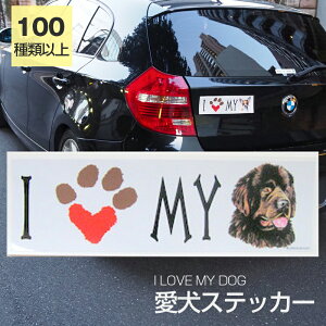 y݌ɌzXebJ[ j[t@hh  h OXebJ[ ACuyI LOVEV[Yz op[XebJ[ X[cP[XV[ V[ J[XebJ[  oCN hbO 