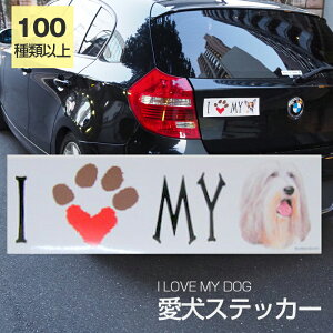 y݌ɌzXebJ[ rAfbhR[  h OXebJ[ ACuyI LOVEV[Yz op[XebJ[ X[cP[XV[ V[ J[XebJ[  oCN hbO  