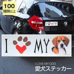 y݌ɌzXebJ[ r[O  h OXebJ[ ACuyI LOVEV[Yz op[XebJ[ X[cP[XV[ V[ J[XebJ[  oCN hbO   