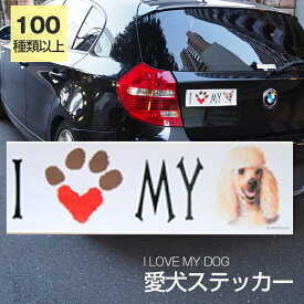 楽天市場 犬 バイクの通販