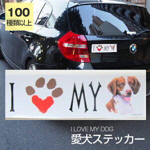 y݌ɌzXebJ[ u^j[XpjG  h OXebJ[ ACuyI LOVEV[Yz op[XebJ[ X[cP[XV[ V[ J[XebJ[  oCN hbO 