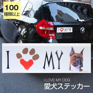 y݌ɌzXebJ[ {NT[ifj  h OXebJ[ ACuyI LOVEV[Yz op[XebJ[ X[cP[XV[ V[ J[XebJ[  oCN hbO  