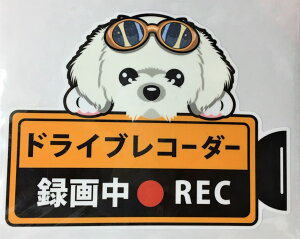  }`[Y hCuR[_[^撆  OXebJ[ hR XebJ[ hbO  Ck   I[i[ObY ^] fh~y[z