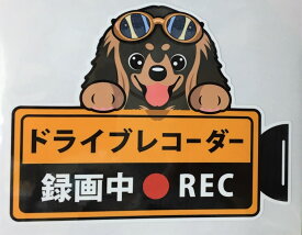 犬 ダックスフント ダックスフンド ドライブレコーダー録画中 犬種別外張りステッカー ブラックタン ドラレコ ステッカー ドッグ いぬ イヌ 車 オーナーズグッズ あおり運転 迷惑防止 雑貨 犬種別 プレゼント ギフト 犬プリント【メール送料無料】 父の日