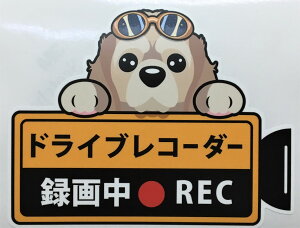 レコーダー カード ペットの通販 価格比較 価格 Com