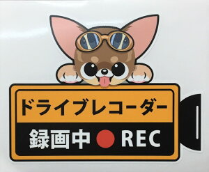 REC  ` hCuR[_[^撆  OXebJ[ X[X hRXebJ[ J[XebJ[  hbO  I[i[ObY ^] fh~y[z