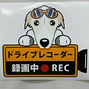  {]C No.2 hCuR[_[^撆  OXebJ[ zCghR XebJ[ hbO  Ck   I[i[YObY ^] fh~ G O ObYy[