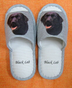 uh[g[oiubNjiH) Xbp 􂦂 ylp22`26cmzjp O[ XgCv ې EHbVu [V[Y 킢  qp  