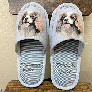 LoAiH) Xbp 􂦂 ylp22`26cmzjp O[ XgCv ې EHbVu [V[Y 킢  qp   V It