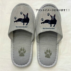�W���[�}���V�F�p�[�h �u���b�N�V�F�p�[�h �iP) �X���b�p �􂦂� �y��l�p22�`26cm�zDOG dog �h�b�O �� ���� �C�k ���O�b�Y �j�����p �O���[ �X�g���C�v �ې� �E�H�b�V���u�� ���[���V���[�Y 
