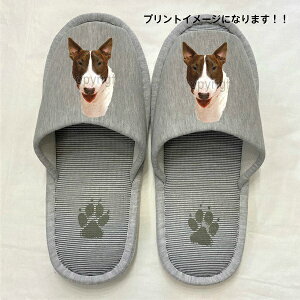 ueA iHj ueObY Xbp 􂦂 ylp22`26cmzjp O[ XgCv ې EHbVu [V[Y 킢  qp   V