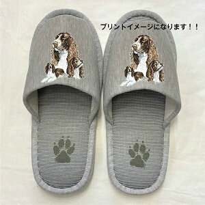 CObVXvK[ Xbp 􂦂 iBj O XvK[ObY ylp22`26cmzjp O[ XgCv ې EHbVu [V[Y 킢  