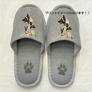 xWAVFp[h xWA}mA Xbp 􂦂 iBj O }mAObY ylp22`26cmzjp O[ XgCv ې EHbVu [V[Y 킢 