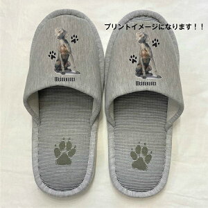 C}i[ Xbp 􂦂 iPj O C}i[ObY ylp22`26cmzjp O[ XgCv ې EHbVu [V[Y 킢  qp  