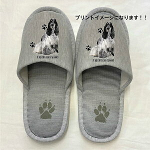 CObVRbJXpjG Xbp 􂦂 iPj O CObVRbJObY ylp22`26cmzjp O[ XgCv ې EHbVu [V[Y 킢