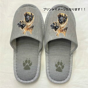 IxK[ Xbp 􂦂 iBj O IxK[ObY ylp22`26cmzjp O[ XgCv ې EHbVu [V[Y 킢  qp 