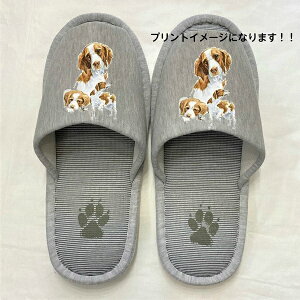 u^j[XpjG Xbp 􂦂 iBj O u^j[ObY ylp22`26cmzjp O[ XgCv ې EHbVu [V[Y 킢  qp 