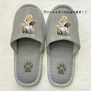 v`oZbgOtH v`oZ Xbp 􂦂 iBj O v`oZObY yl p22`26cmzjp O[ XgCv ې EHbVu [V[Y 킢  