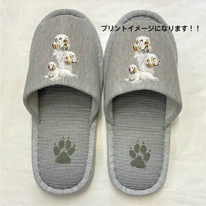 No[XpjG Xbp 􂦂 iBj O No[ObY ylp22`26cmzjp O[ XgCv ې EHbVu [V[Y 킢  qp 