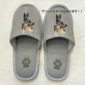 xWAVFp[h ^[r Xbp y10Zbgz 􂦂 iBj O ^[r[ObY ylp22`26cmzjp O[ XgCv ې EHbVu [V[Y 