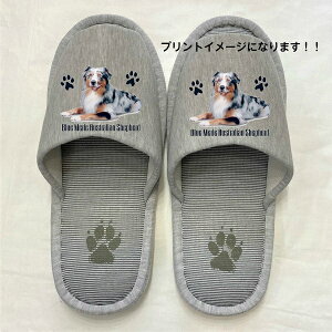 I[XgAVFp[h u[}[ y10Zbgz Xbp 􂦂 iPj O I[V[ObY ylp22`26cmzjp O[ XgCv ې EHbVu [V[