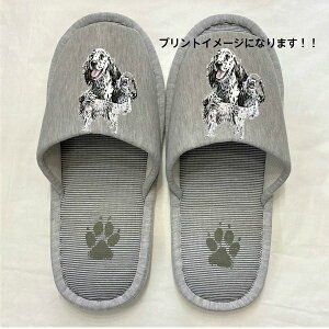 CObVZ^[ Zb^[ Xbp 􂦂 iBj O ylp22`26cmzjp O[ XgCv ې EHbVu [V[Y 킢  qp  