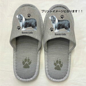 xAfbhR[ rAfbhR[ Xbp 􂦂 iPj O rAfbhObY yl p22`26cmzjp O[ XgCv ې EHbVu [V[Y 킢 