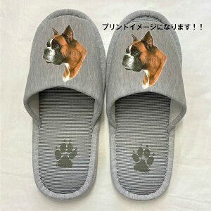 {NT[ Xbp 􂦂 iHj O {NT[ObY yl p22`26cmzjp O[ XgCv ې EHbVu [V[Y 킢  qp   