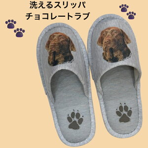 Xbp `R[gu `Ru 􂦂 O uh[ObY Ck DOG dog ylp24`26cmzjp O[ XgCv ې EHbVu [V[Y 킢 