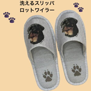 Xbp@bgC[ 􂦂 O W[}ObY ylp24`26cmzjp O[ XgCv ې EHbVu [V[Y 킢  qp  