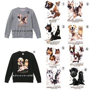 N[lbN XEFbg Iׂ ^E {NT[ W[} h[x} S[f R[ ueA nXL[ j[t@ g[i[  jZbNX 100% vI[o[ 킢