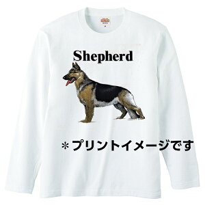 W[}VFp[h  tVcyOX[uzeB[ ێ^ N[lbN 100% gbvX  fB[X Y Vv 킢  hbO    vg 