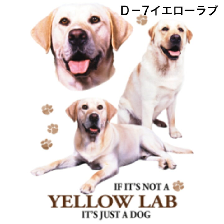 選べる大型犬d バーニーズ 首かけタイプ ラブラドルレトリバー オーシー 男女兼用 A マラミュート バセット ブルドッグ レトリーバー かわいい