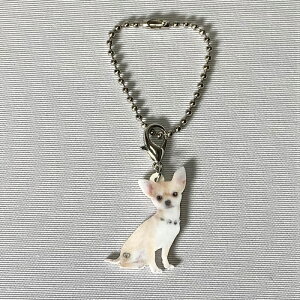 `yL[z_[ `[ z`ObY obO`F[ }XN`[ AN   Ck dog  G I[i[ObY 킢 A L[`F[ vg 